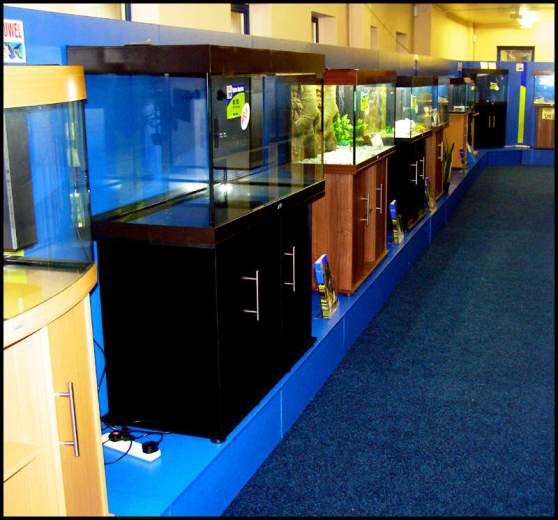 Доставка аквариумов и оборудования из Германии