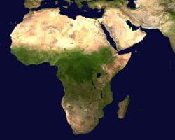 Грузоперевозки из Африки